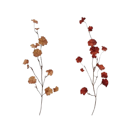 Leaf Branch
