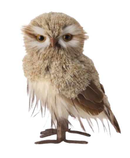 Standing Winter Owl