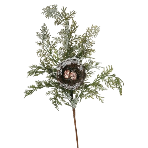 Cedar Spray with Bird Nest