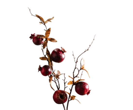 Pomegranate Spray