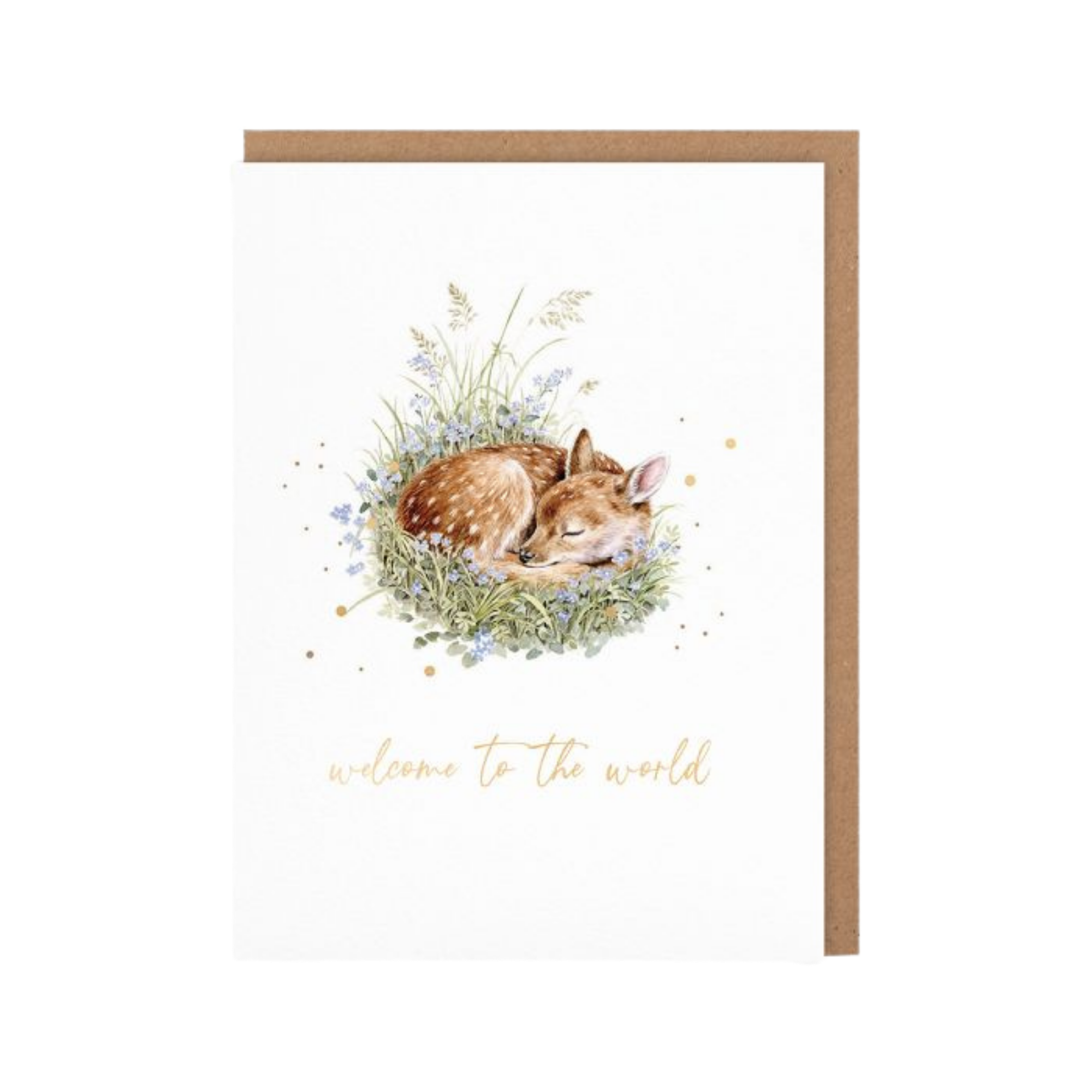 Greeting Card - Gentle Fawn