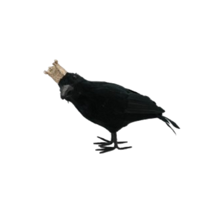 Crowned Crow
