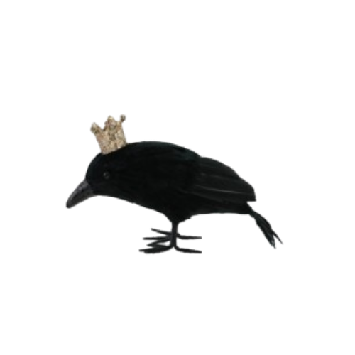 Crowned Crow