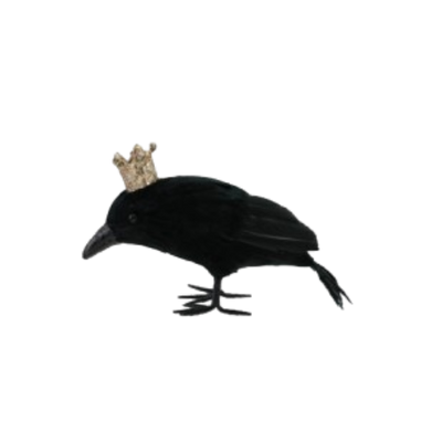 Crowned Crow