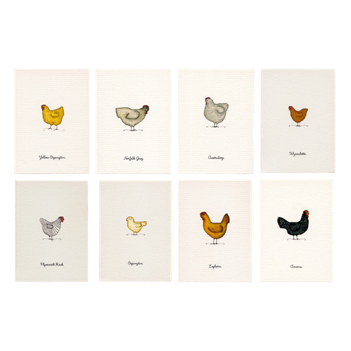 Tiny Boxed Cards - Chickens