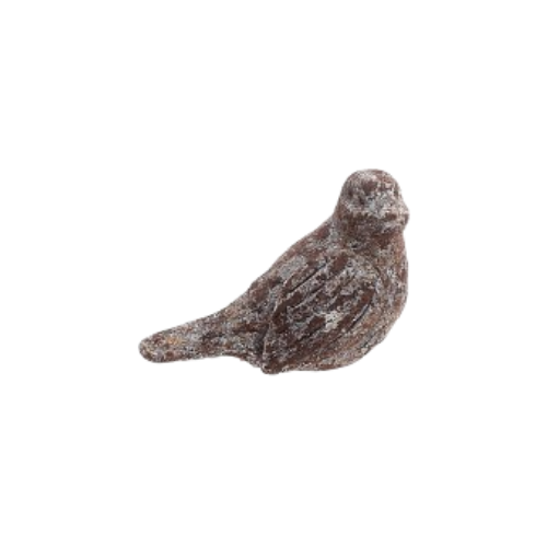 Distressed Bird