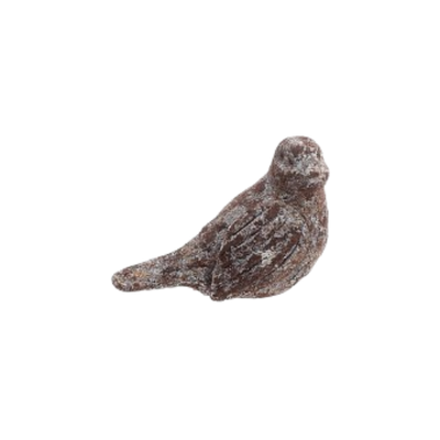 Distressed Bird
