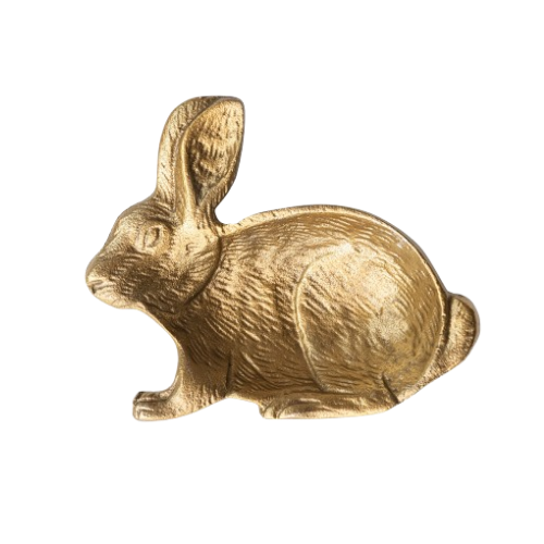 Rabbit Dish