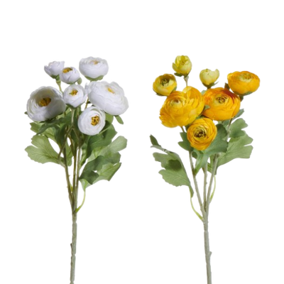 Ranunculus Spray, white/yellow