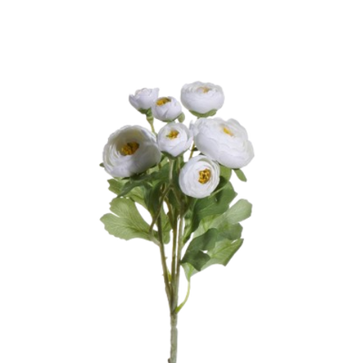 Ranunculus Spray, white/yellow