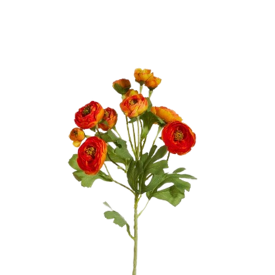 Ranunculus Spray, pink/orange