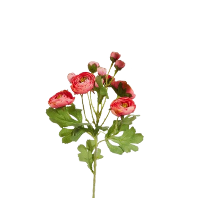 Ranunculus Spray, pink/orange
