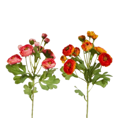 Ranunculus Spray, pink/orange