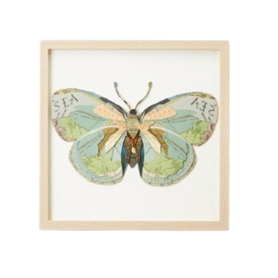 Framed Butterfly