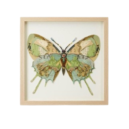 Framed Butterfly