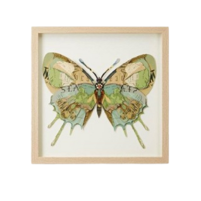 Framed Butterfly