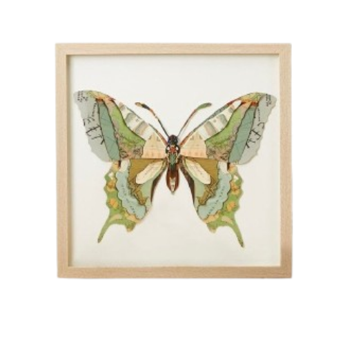Framed Butterfly