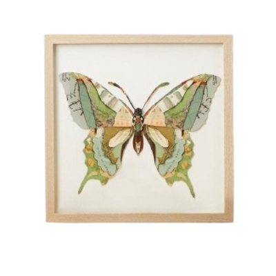 Framed Butterfly