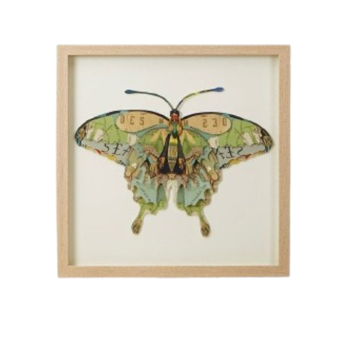 Framed Butterfly