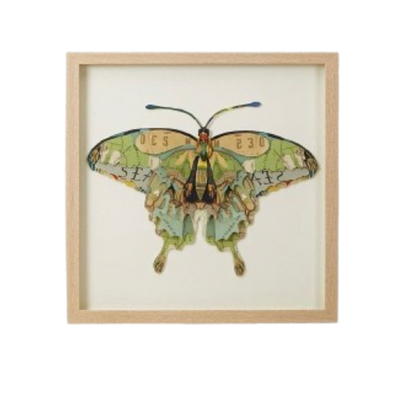 Framed Butterfly