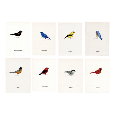 Tiny Boxed Cards - Birds