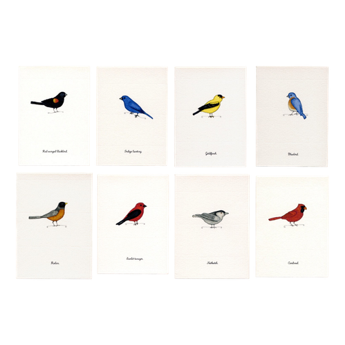 Tiny Boxed Cards - Birds