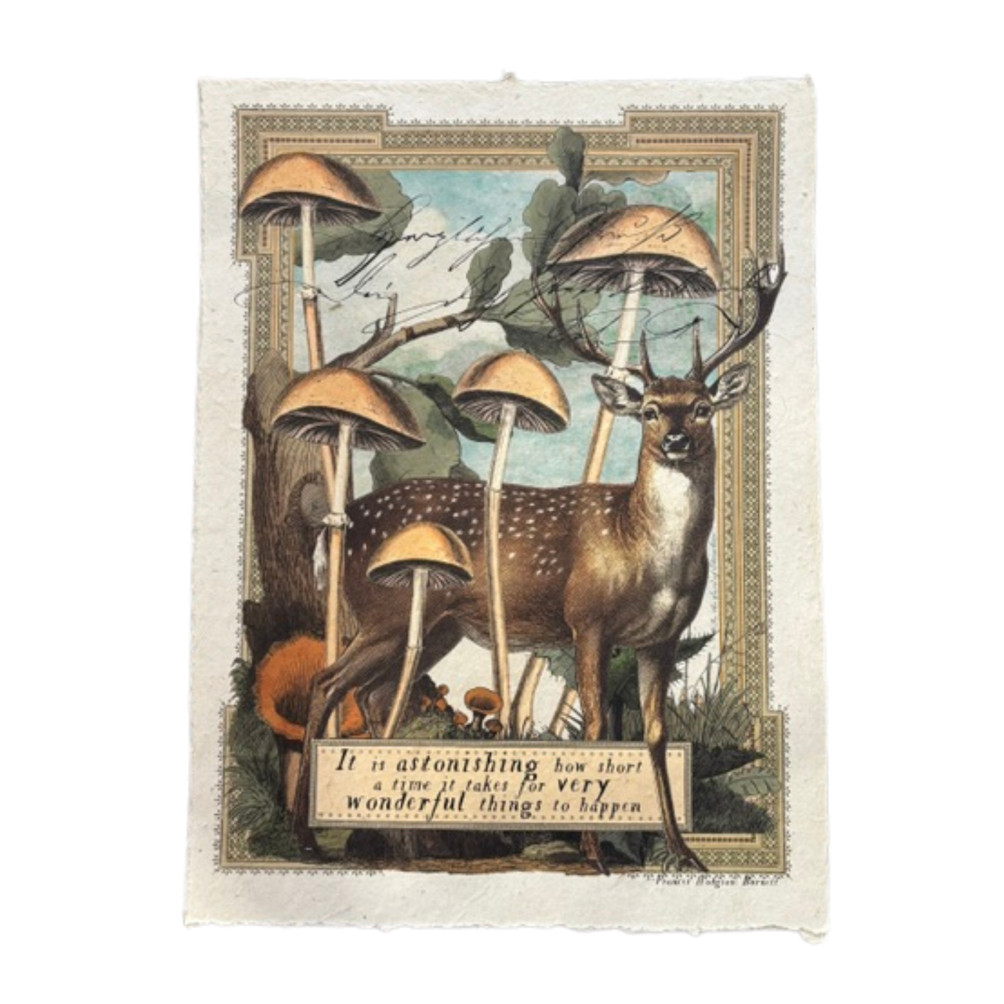 12x16 Artisan Paper Print, very wonderful