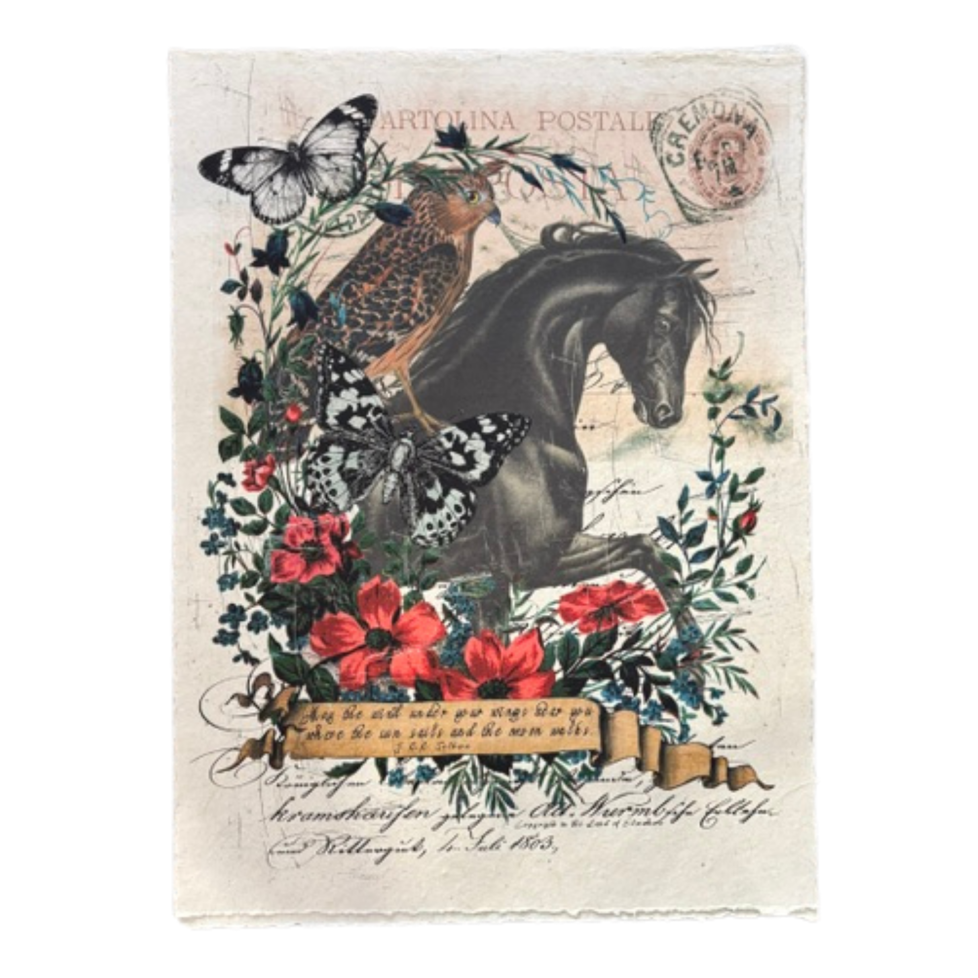 12x16 Artisan Paper Print, wind under your wings