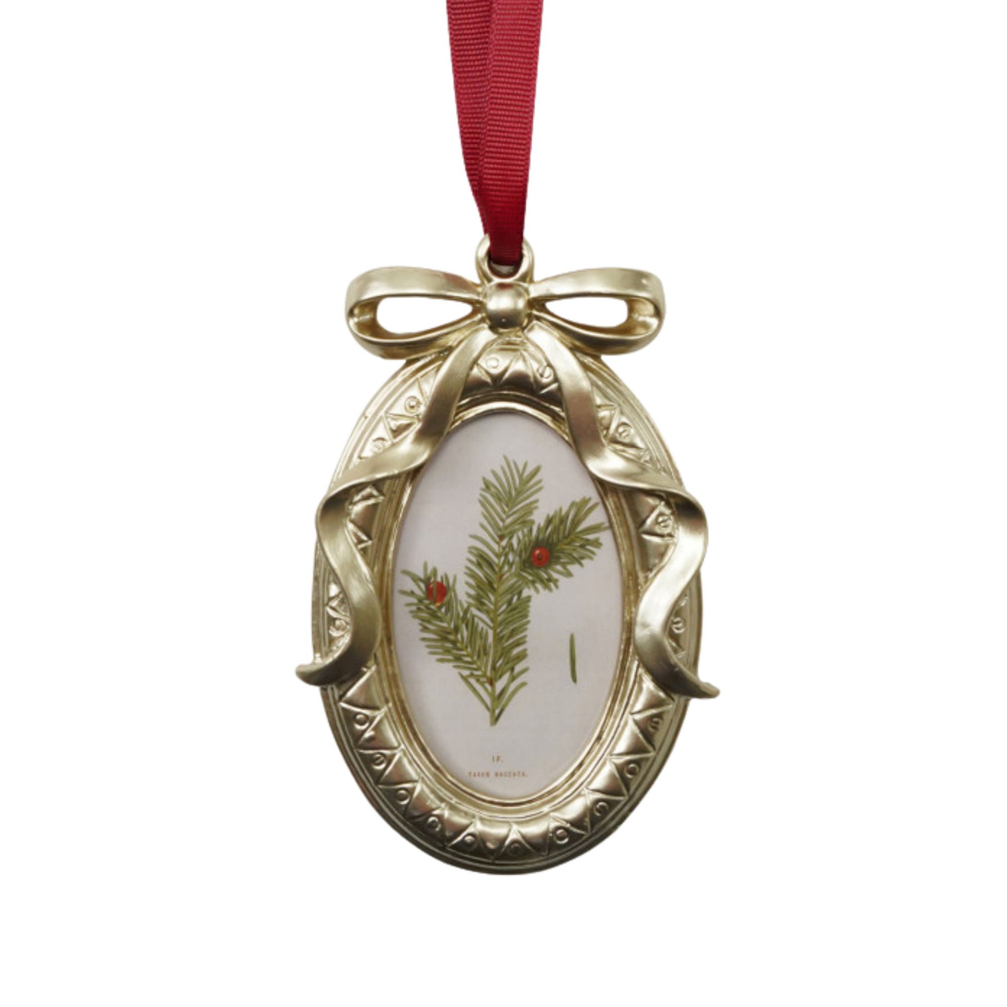 Bow Frame Ornament