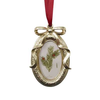 Bow Frame Ornament
