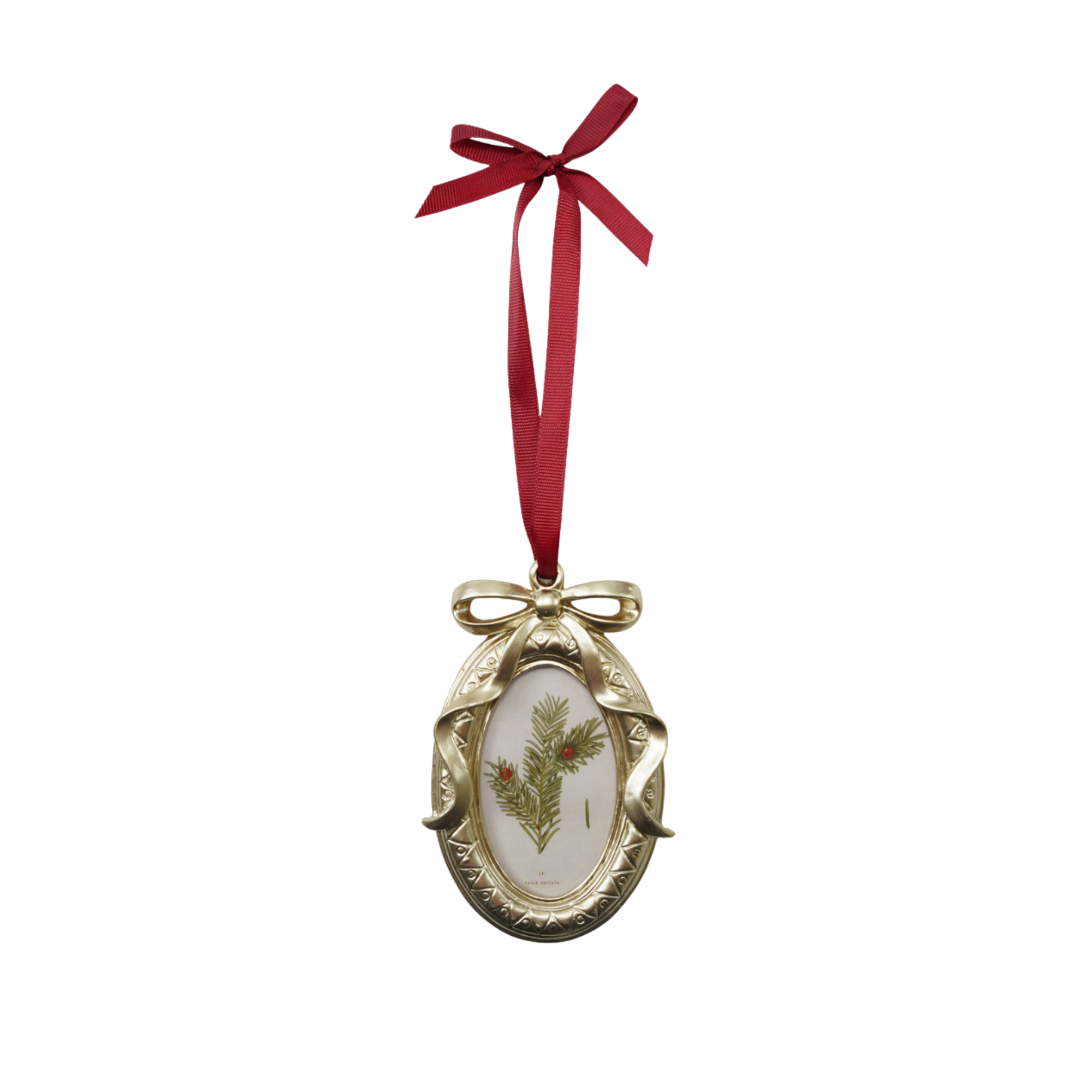 Bow Frame Ornament