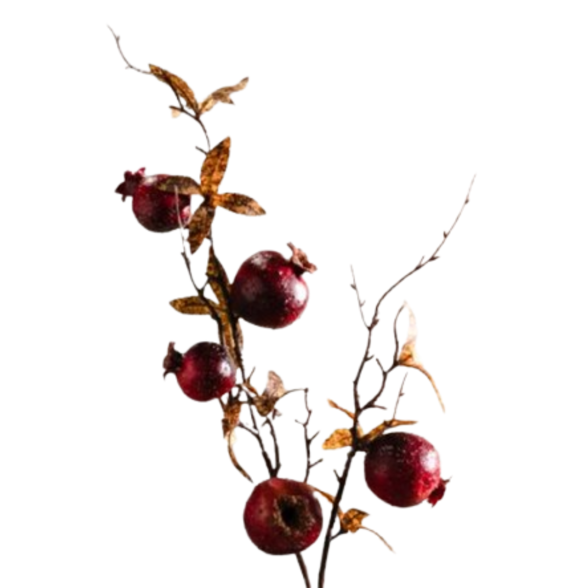 Pomegranate Spray