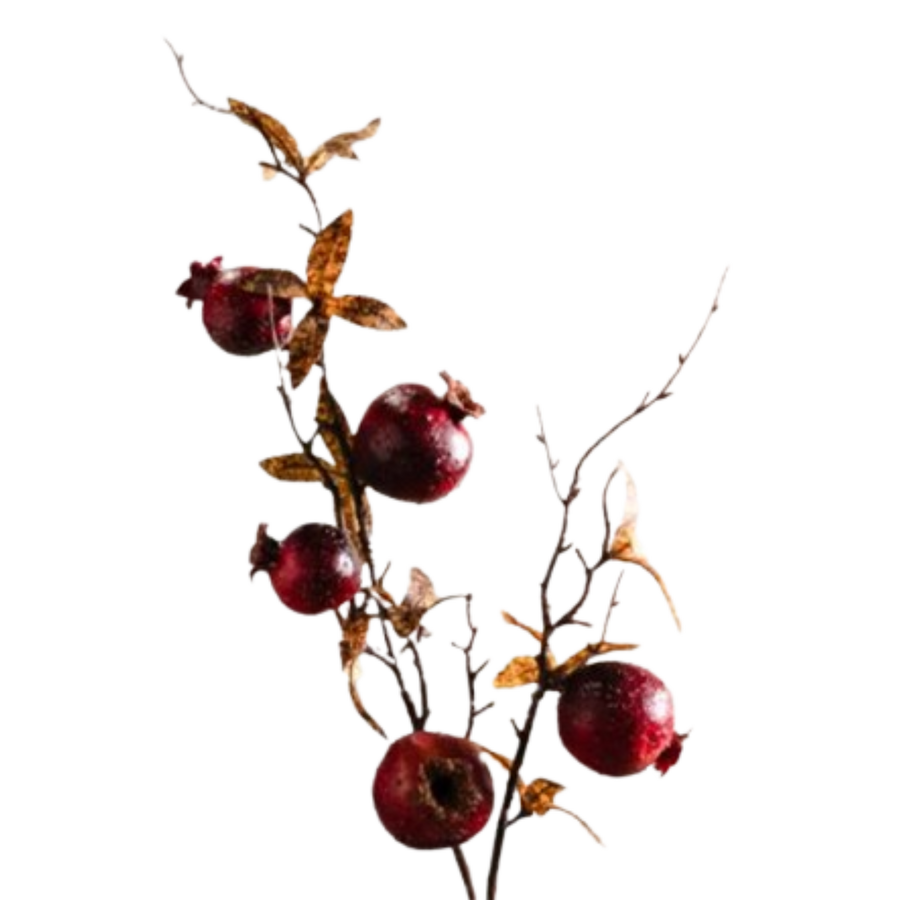 Pomegranate Spray