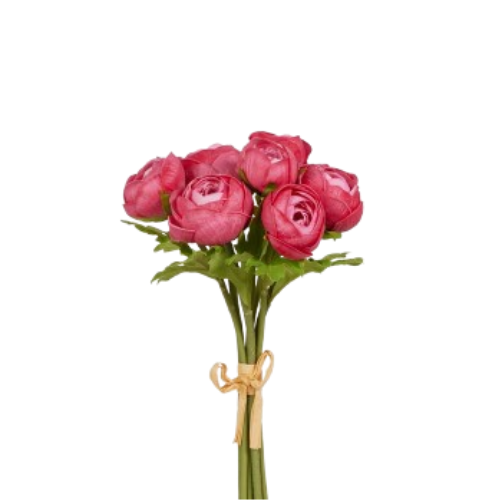 Ranunculus Bundle