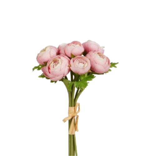 Ranunculus Bundle