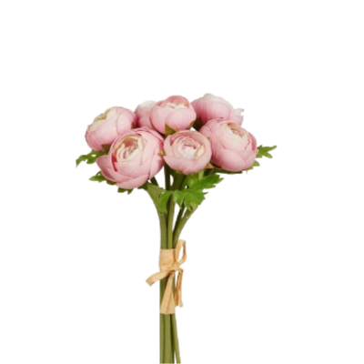 Ranunculus Bundle