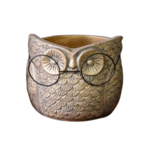 Owl with Glasses Planter