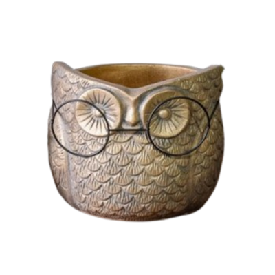 Owl with Glasses Planter