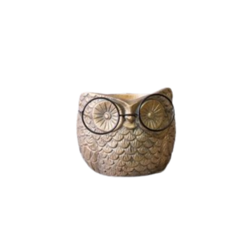 Owl with Glasses Planter