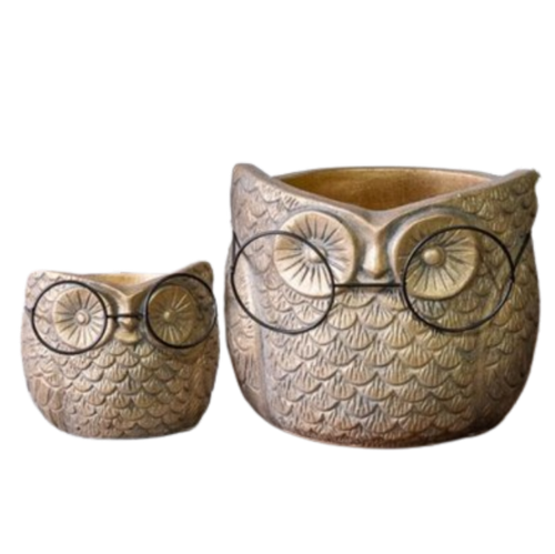 Owl with Glasses Planter