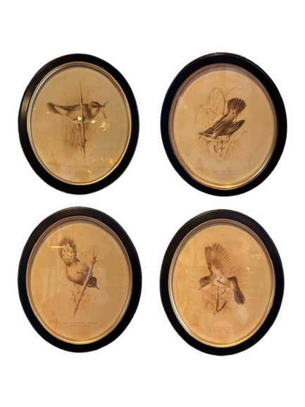 Framed Bird Print, oval