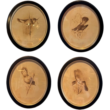 Framed Bird Print, oval