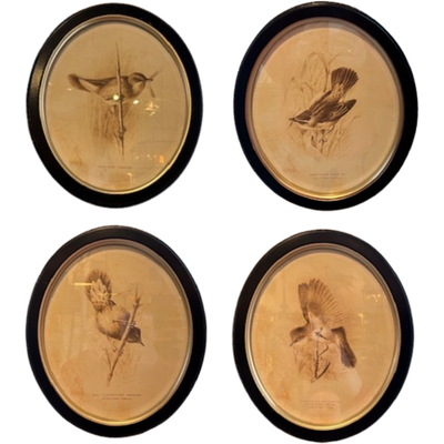 Framed Bird Print, oval