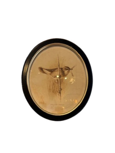 Framed Bird Print, oval