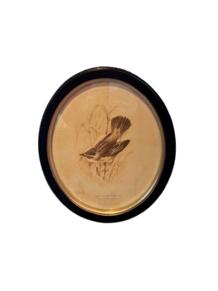 Framed Bird Print, oval