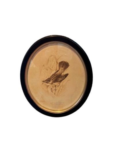 Framed Bird Print, oval