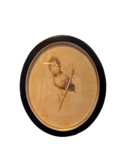 Framed Bird Print, oval