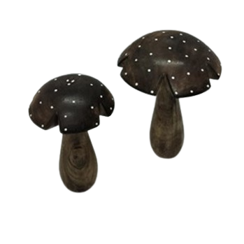 Wooden Mushroom
