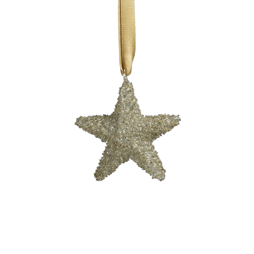 Glitter Star Ornament, silver