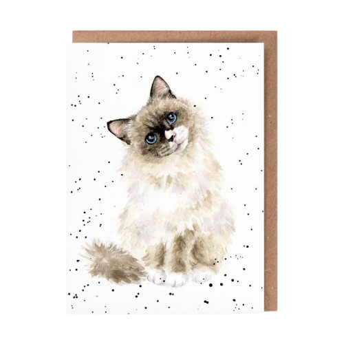 Greeting Card - Paws for Thought